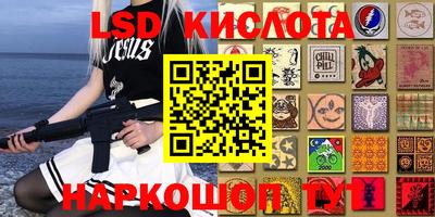 spice Заволжье