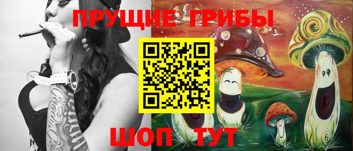 Галлюциногенные грибы ЛСД  купить наркотик  Курчалой  Вход с VPN 