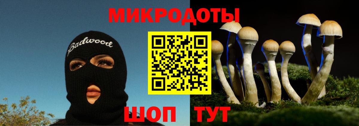 Псилоцибиновые грибы MAGIC MUSHROOMS Курчалой