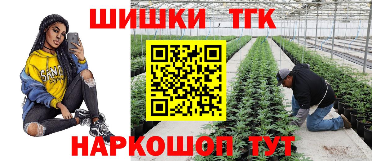 Каннабис планчик Курчалой
